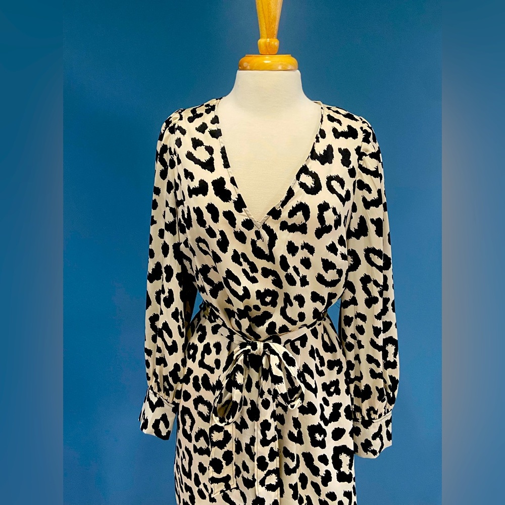 H&M Dress Leopard print dress